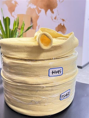 25 mm Aramid-Schlauchgurtband