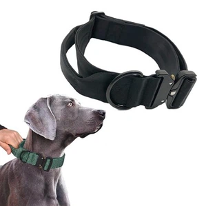 Robustes Hundehalsband mit Griff